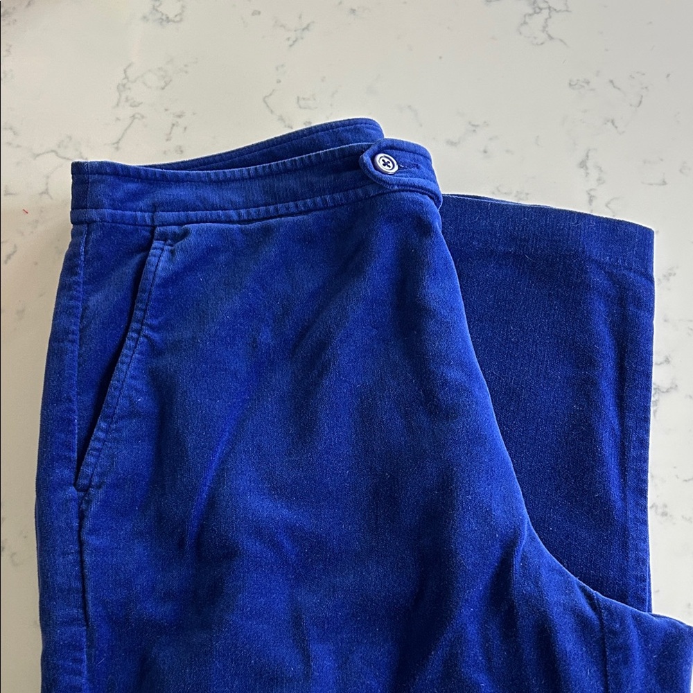 100% Cotton Cobalt Blue Velvet Pants